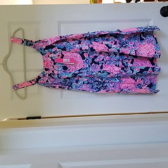 Lilly Pulitzer Loro Dress - Picture 7 of 14